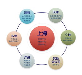 玻璃深加工设备进口报关代理与互联网信息服务的融合发展