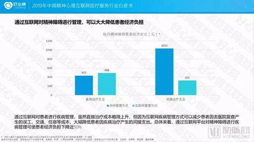 2019中国精神心理互联网医疗服务行业白皮书 互联网信息服务的创新与挑战